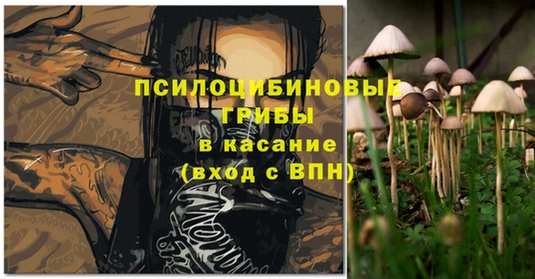 СК Медногорск