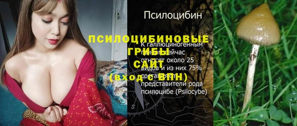 МДПВ Медвежьегорск