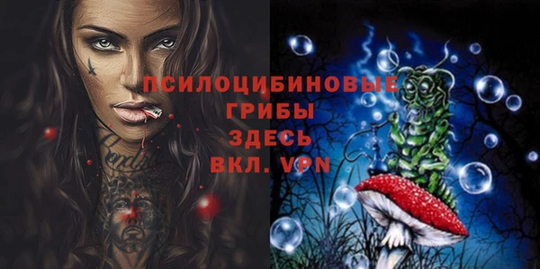 МДПВ Медвежьегорск