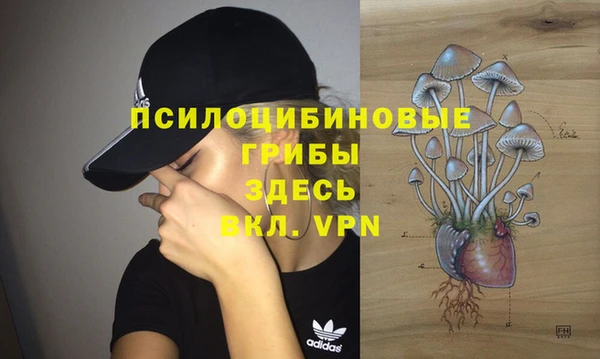 МДПВ Медвежьегорск