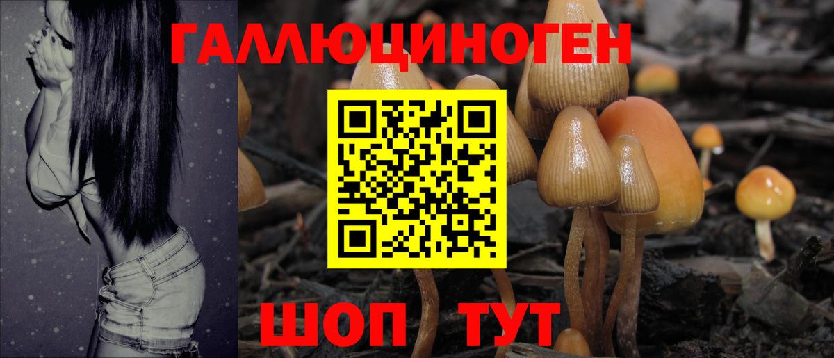 купить закладку  Вход с VPN  Псилоцибиновые грибы мицелий  Кызыл  Псилоцибиновые грибы мицелий 